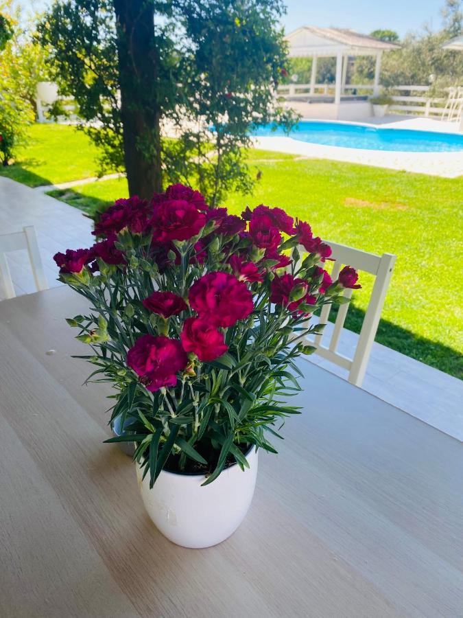 Chanel Garden Relaxation Home Formello Ngoại thất bức ảnh