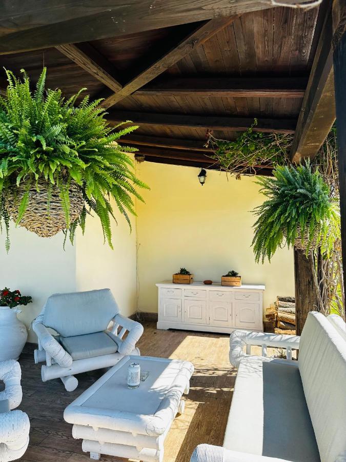 Chanel Garden Relaxation Home Formello Ngoại thất bức ảnh